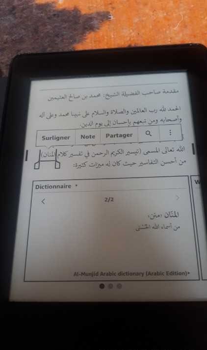 Liseuse Kindle ppw3