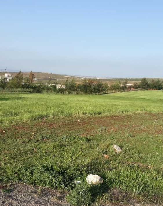 4 hectares sur la route Sefrou Fes