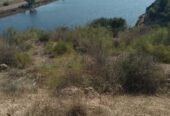 TERRAIN 3 HECTARES 5000M² OUED OUM RABI