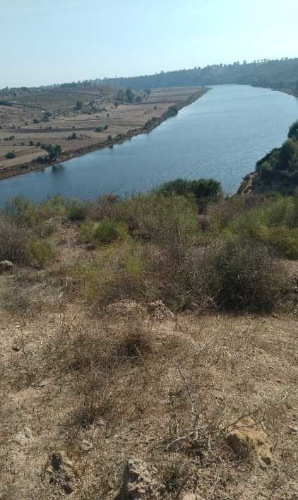 TERRAIN 3 HECTARES 5000M² OUED OUM RABI