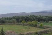 Ferme ourika