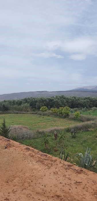 Ferme ourika