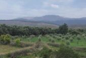 Ferme ourika