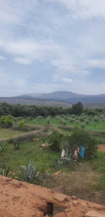 Ferme ourika