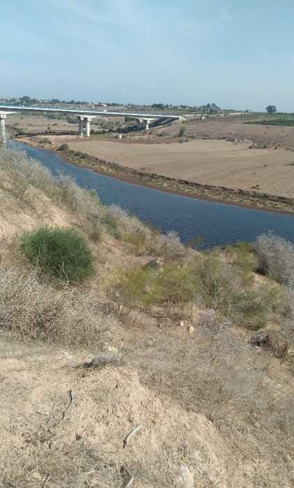 TERRAIN 3 HECTARES 5000M² OUED OUM RABI