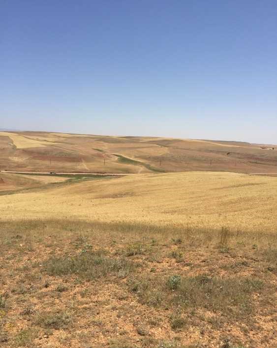 Ventes ou locationterrain avec autorisation et puit160 m