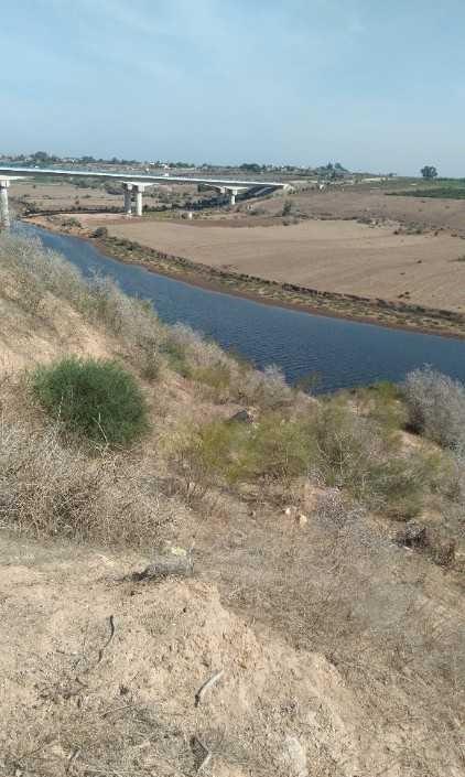 TERRAIN 3 HECTARES 5000M² OUED OUM RABI
