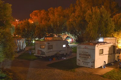 Camping olive trees