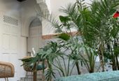 Riad Medina Art