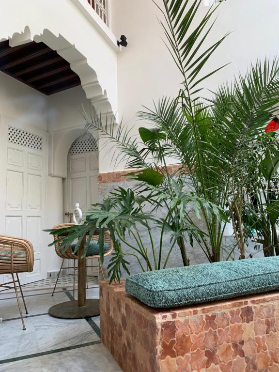 Riad Medina Art
