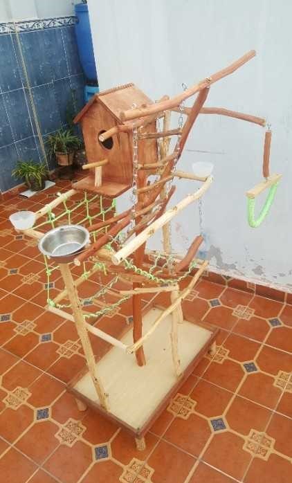 Perchoir et aire de jeux pour oiseaux calopssites