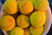 ball de tennis dunlop