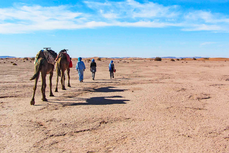 Mhamid Camp Excursions